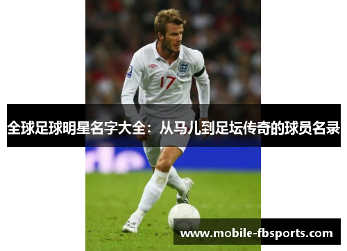 全球足球明星名字大全：从马儿到足坛传奇的球员名录