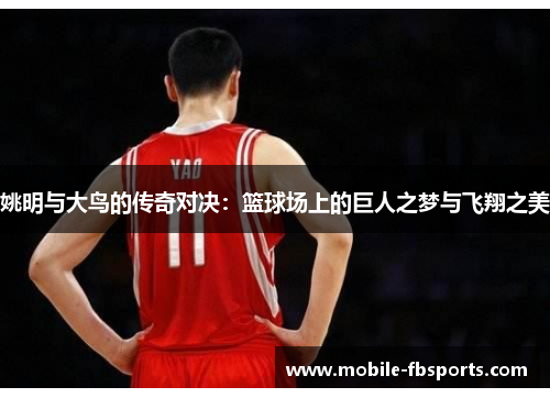 姚明与大鸟的传奇对决：篮球场上的巨人之梦与飞翔之美