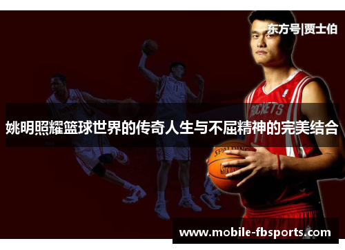 姚明照耀篮球世界的传奇人生与不屈精神的完美结合