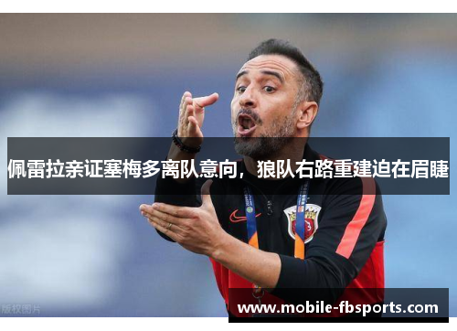 佩雷拉亲证塞梅多离队意向，狼队右路重建迫在眉睫